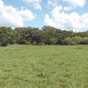 LAGOA-DA-SERRA-2